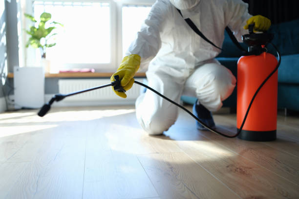 Reliable Odor Removal contractor in Atlanta, TX by Trauma Clean Pros